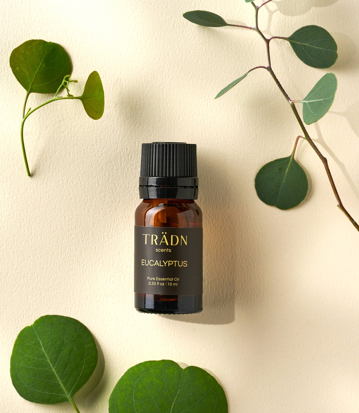 藍膠尤加利 Eucalyptus / from Australia 10ml