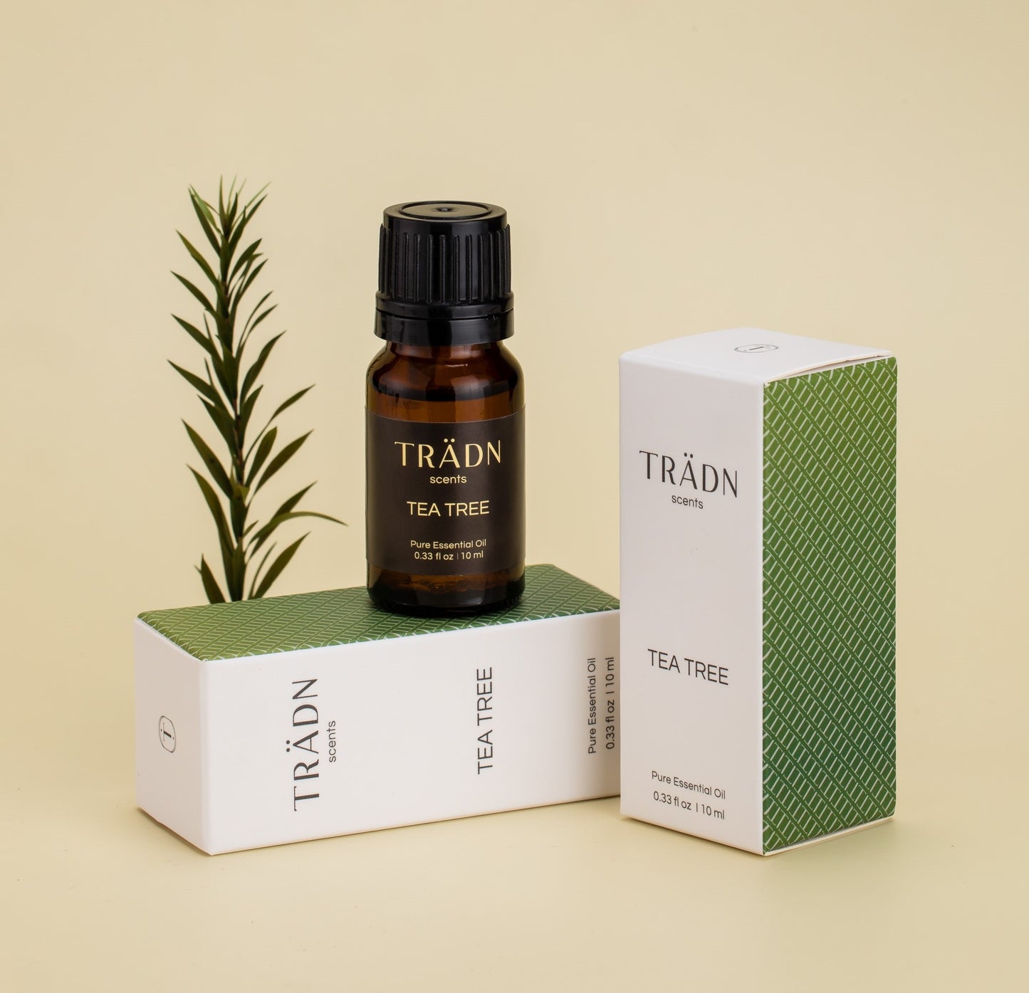 茶樹 Tea Tree / from Australia 10ml