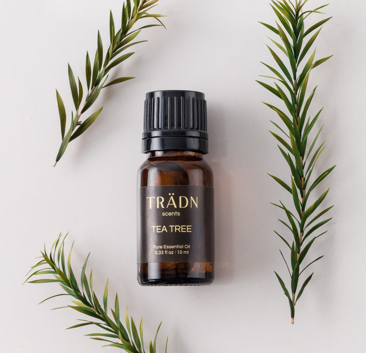 茶樹 Tea Tree / from Australia 10ml