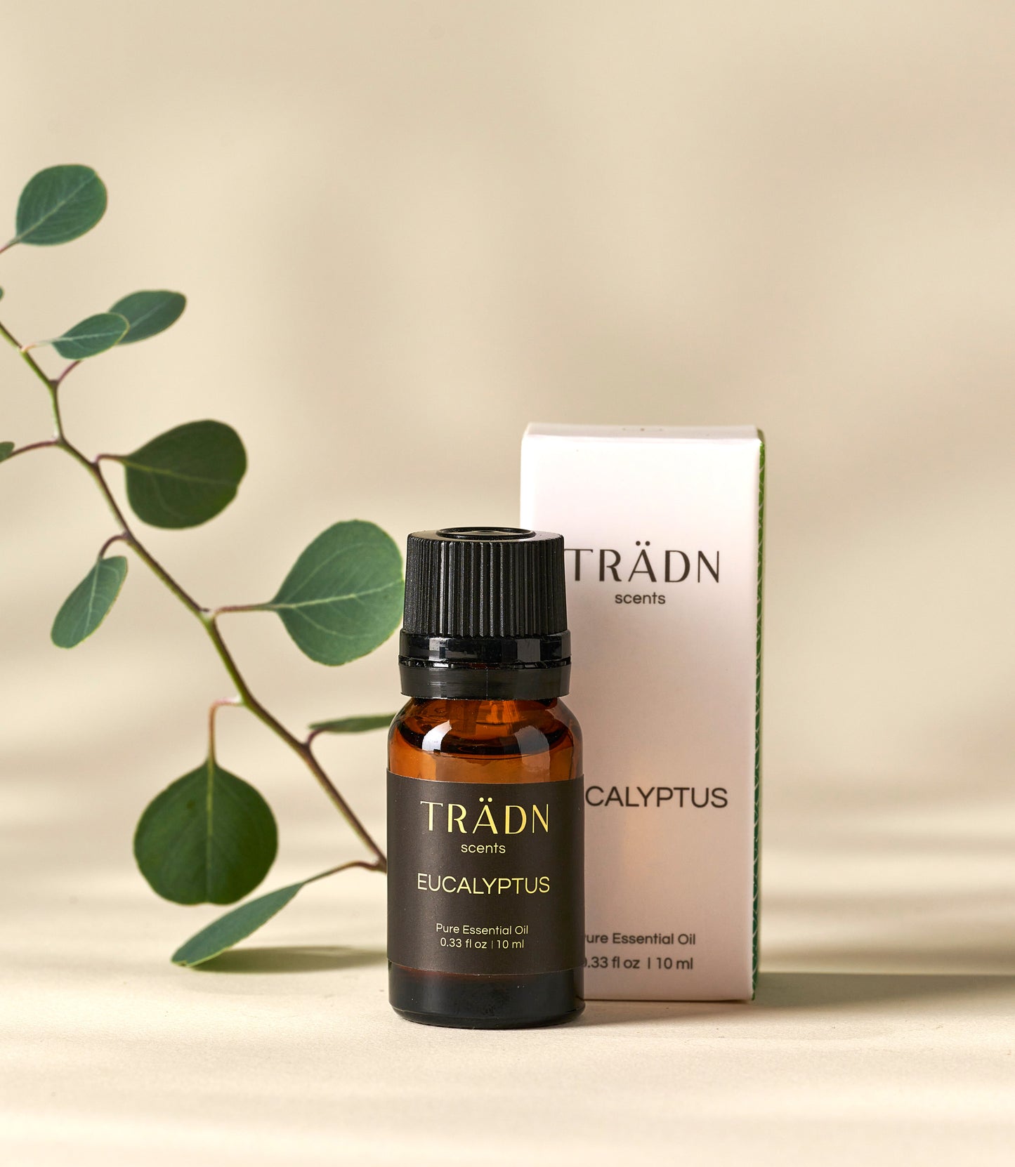 藍膠尤加利 Eucalyptus / from Australia 10ml