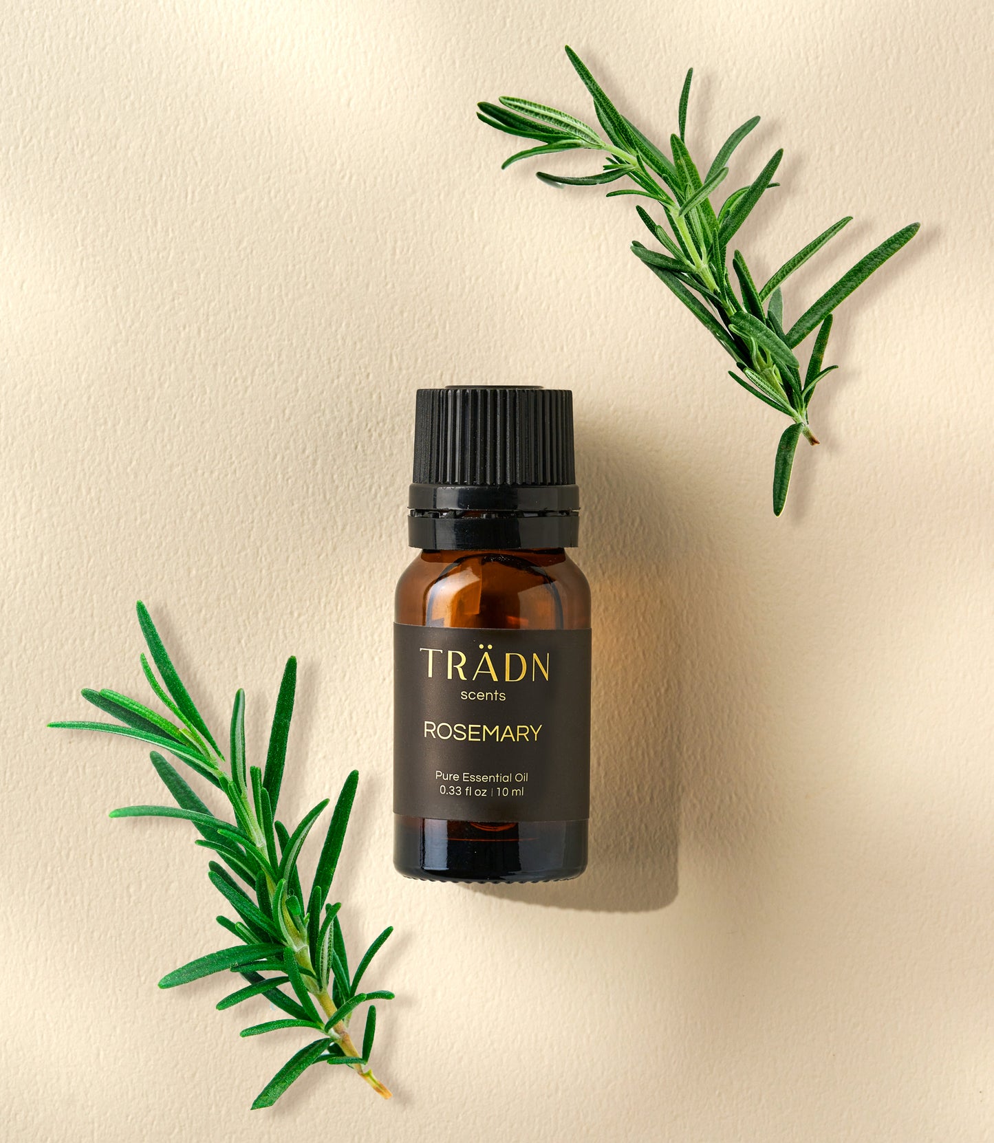 迷迭香 Rosemary / from Spain 10ml
