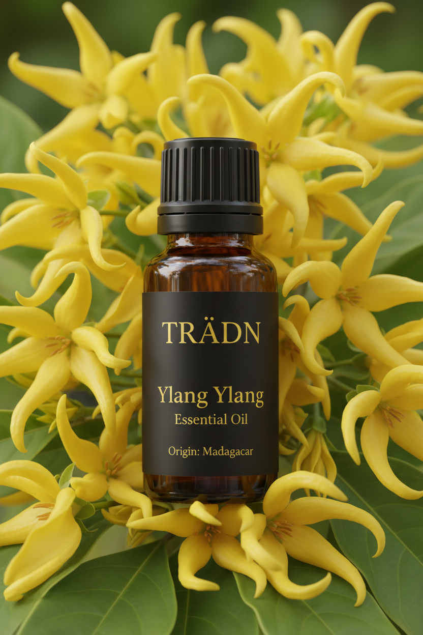 依蘭依蘭 Ylang Ylang / from Madagascar 10ml