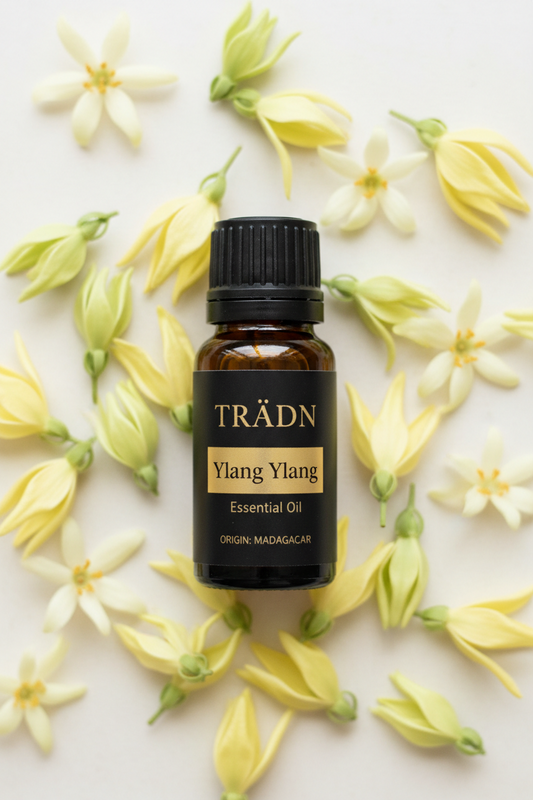 依蘭依蘭 Ylang Ylang / from Madagascar 10ml