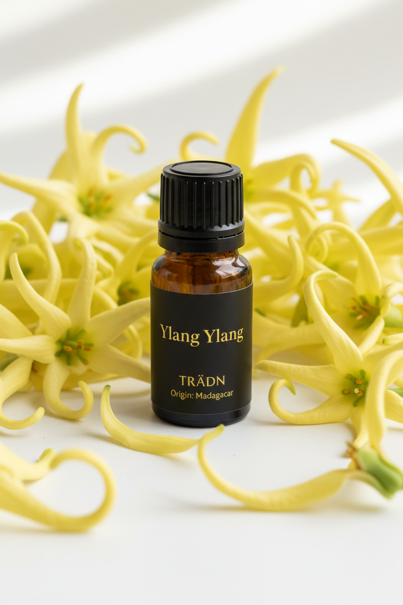依蘭依蘭 Ylang Ylang / from Madagascar 10ml